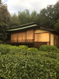 新殿