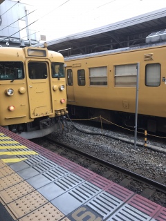 末期色