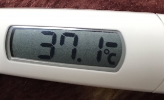 (^0^)